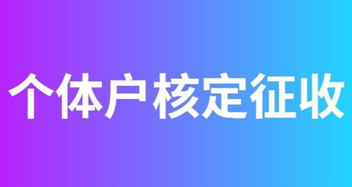 2023年,福建漳州个体户核定征收新优惠政策
