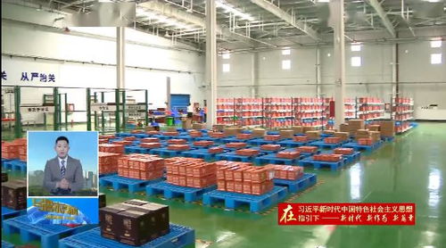 乌鲁木齐跨境电子商务综合试验区公共服务平台上线
