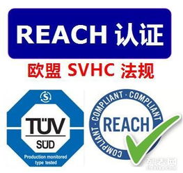 reach测试要求reach法规要求是什么reach注册产品
