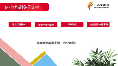 2021天津代写标书,价格500元 小飞侠正规