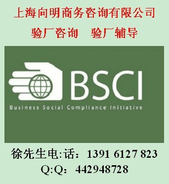 其它商务服务ABS验厂辅导ICTI认证ICTI验厂图片_高清图_细节图