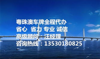 科普什么是fv港牌宝粤港澳跨境车牌办理咨询